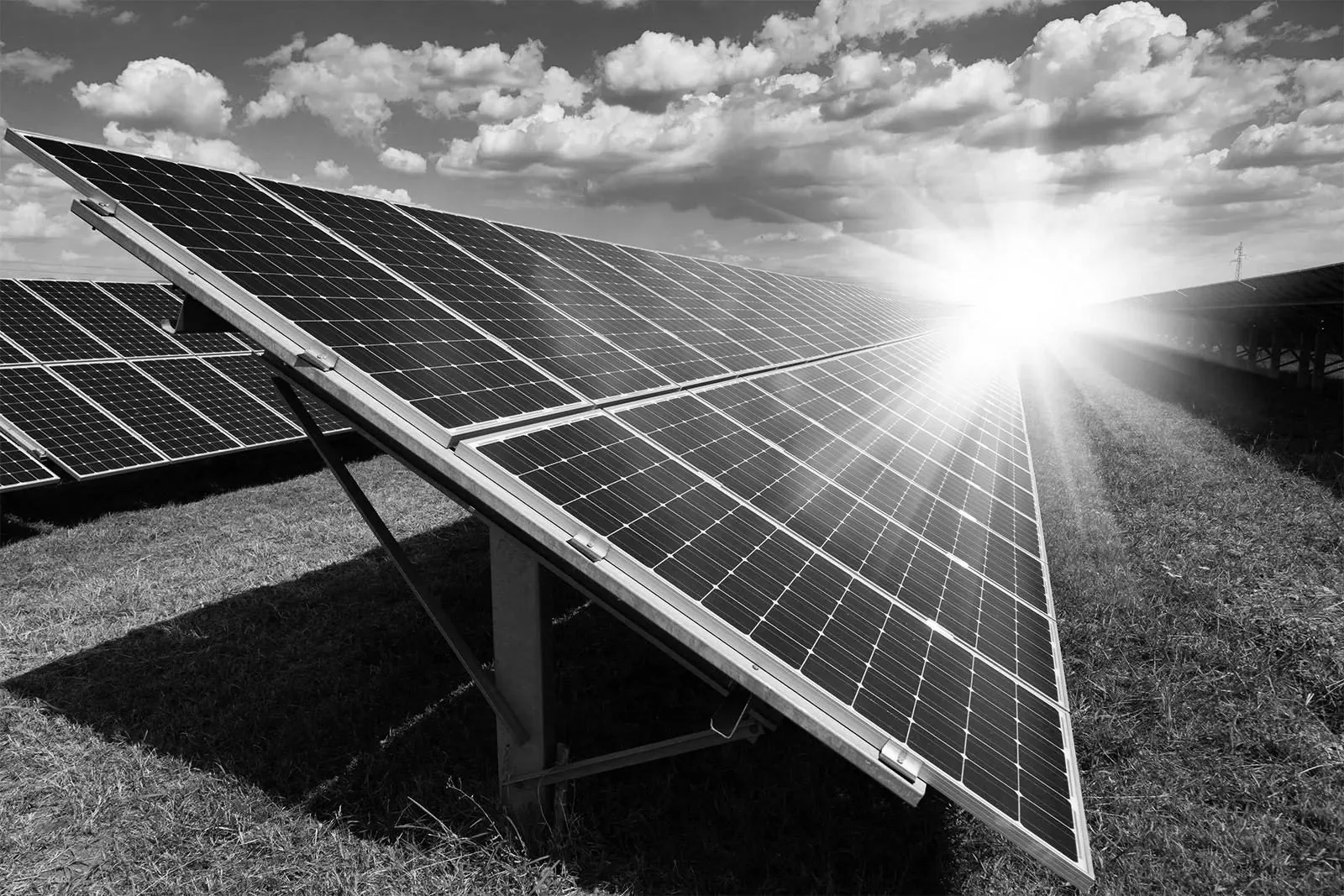 Solar farm at sunrise